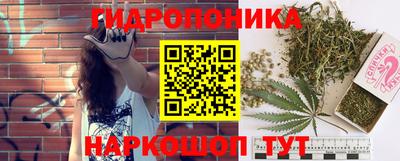 прущие крисы Тверь