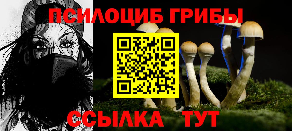 Ростов-на-Дону  Псилоцибиновые грибы Magic Shrooms  Вход с VPN 